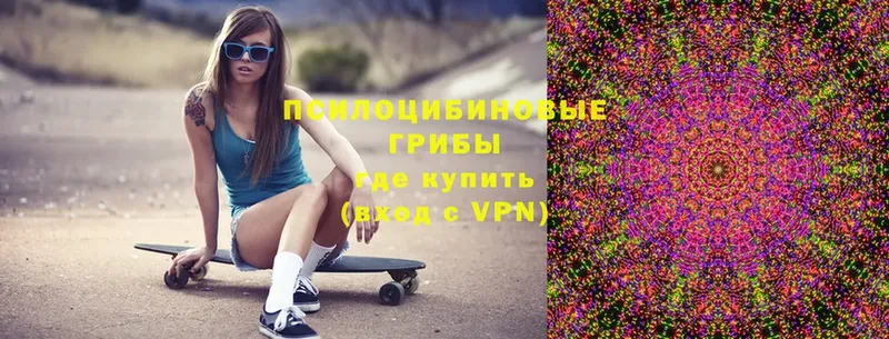 Псилоцибиновые грибы MAGIC MUSHROOMS  купить  цена  Владикавказ 