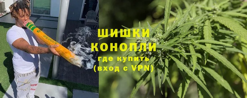 купить наркотик  МЕГА как войти  Бошки Шишки Ganja  Владикавказ 